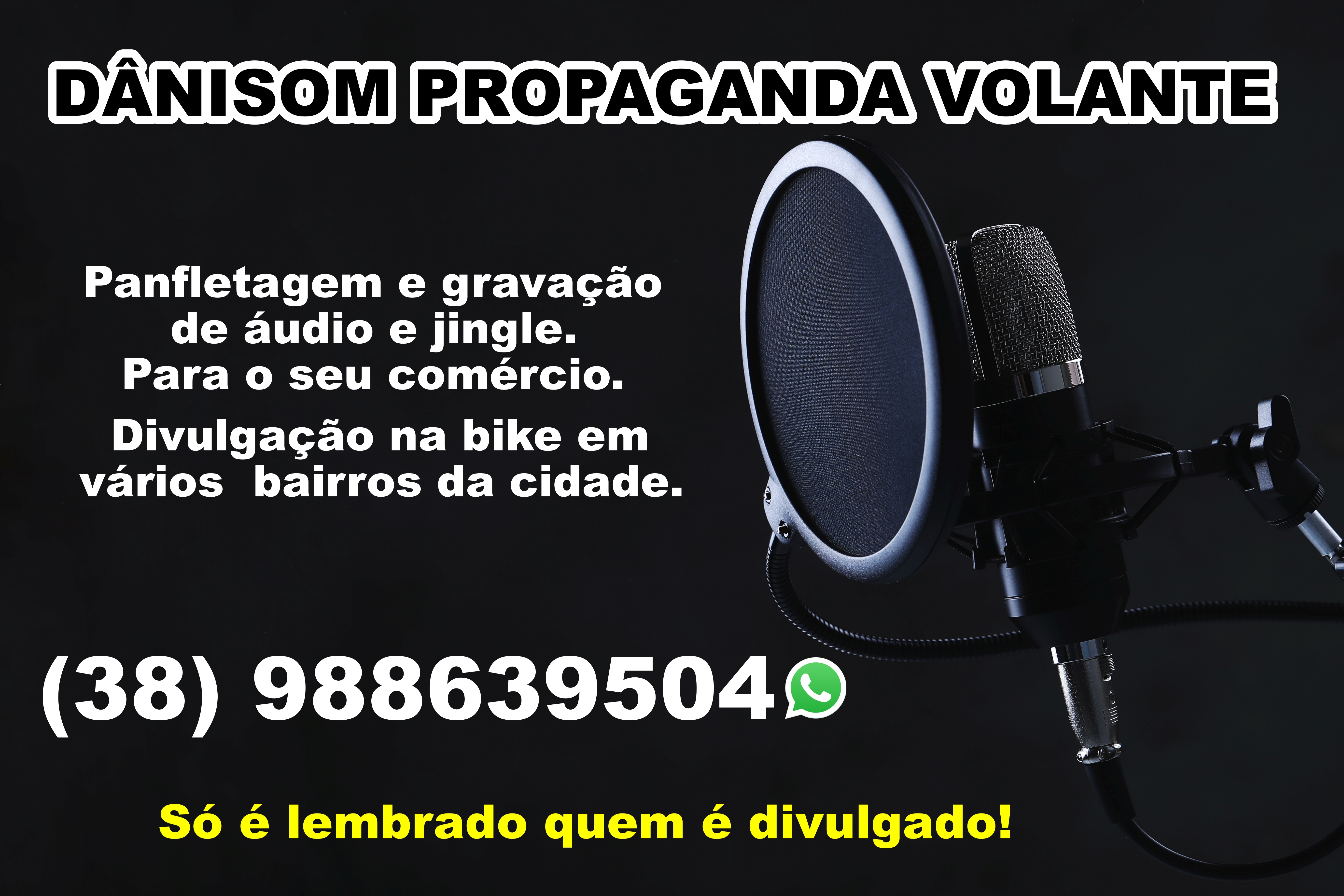 DâniSom Propaganda Volante